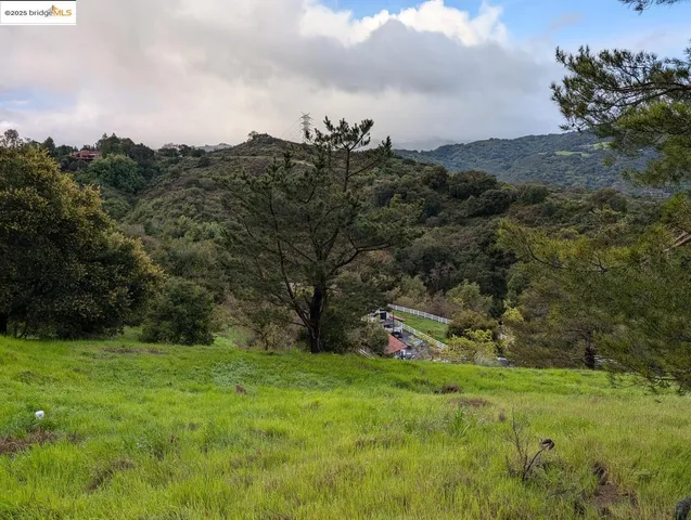 a view of a field with a tree in the background