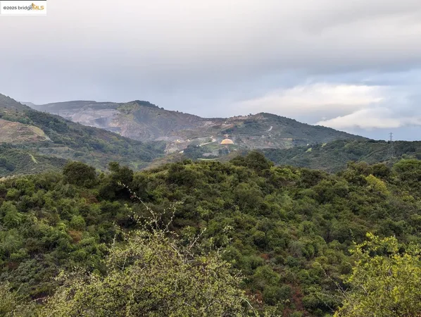 a view of a mountain range with lush green forest