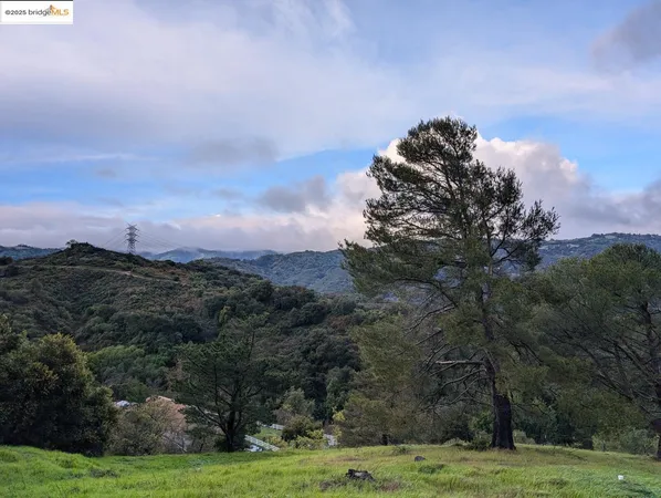 a view of a grassy field with trees