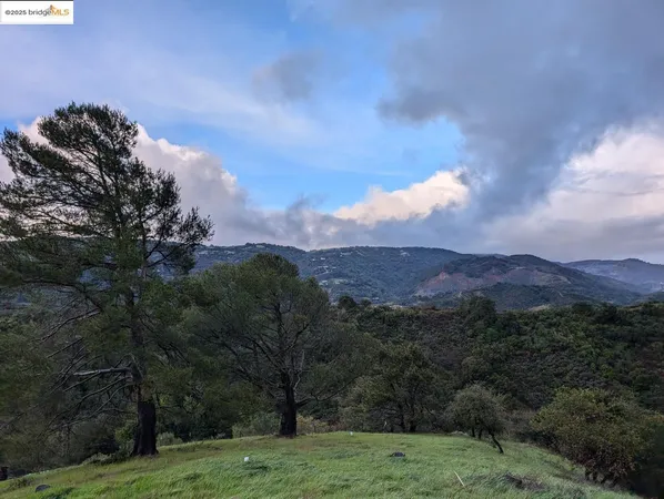 a view of a grassy field with trees in the background
