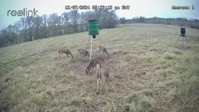 0 Korthauer Road Bellville, TX 77418 - Photo 8 of 13
