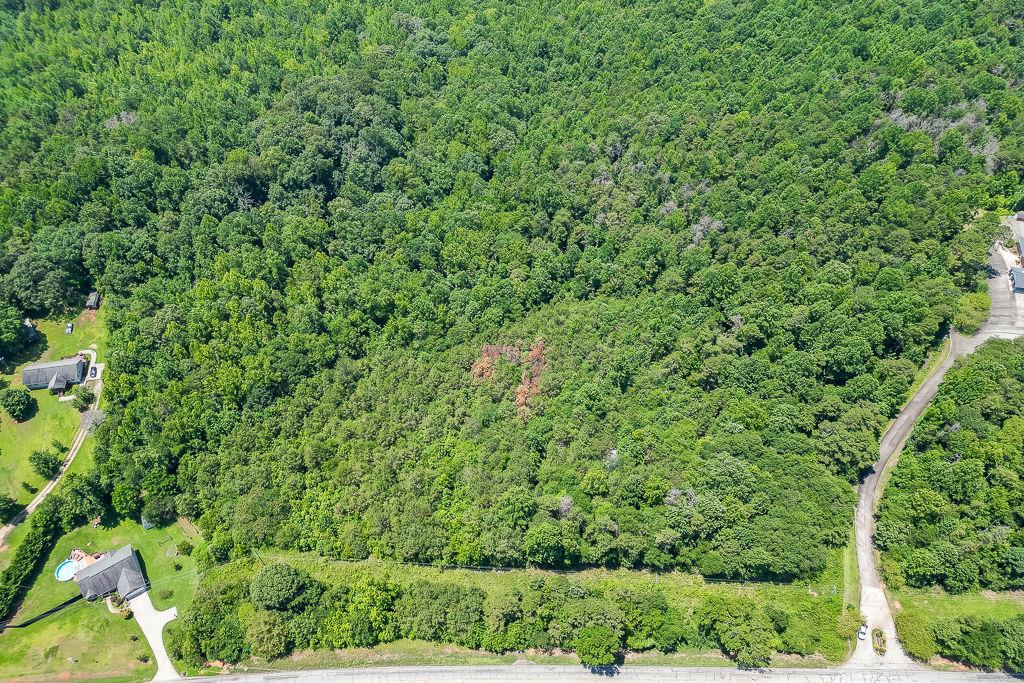 5821 Highway 320 Carnesville, GA 30521 - Photo 2 of 8