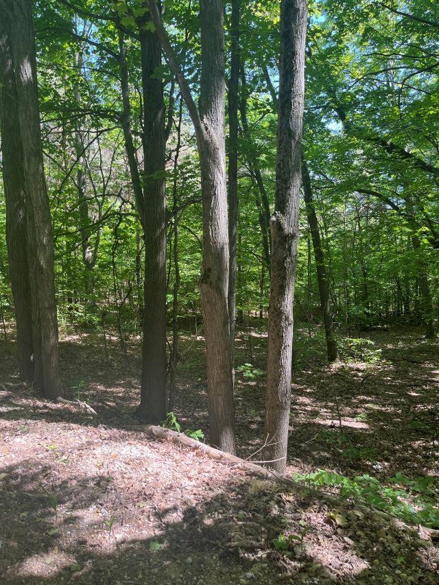 Parcel G North Parcel G N 45th Road Manton, MI 49663 - Photo 6 of 7