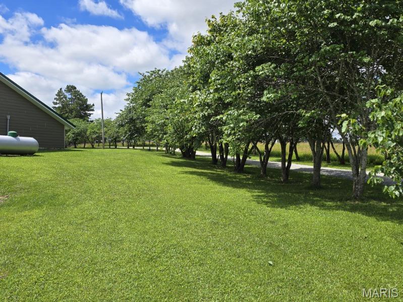 16705 Oak Hill Drive Road Houston, MO 65483 - Photo 36 of 36