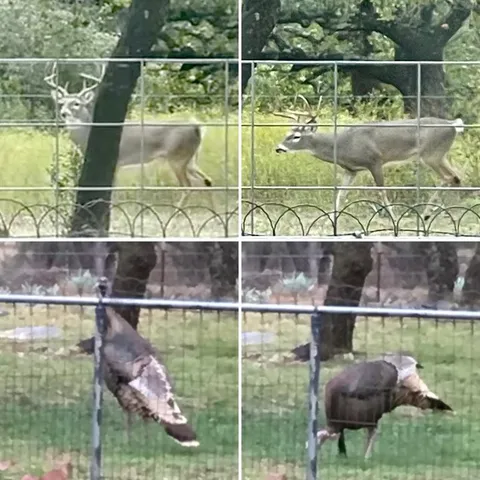 a view of a lake from a balcony