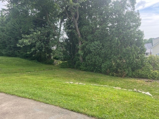 72 Elmore Street Holyoke, MA 01040 - Photo 16 of 28 a view of a green yard with large trees