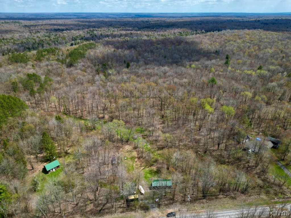 168 Carpenter Road Orwell, NY 13144 - Photo 40 of 43