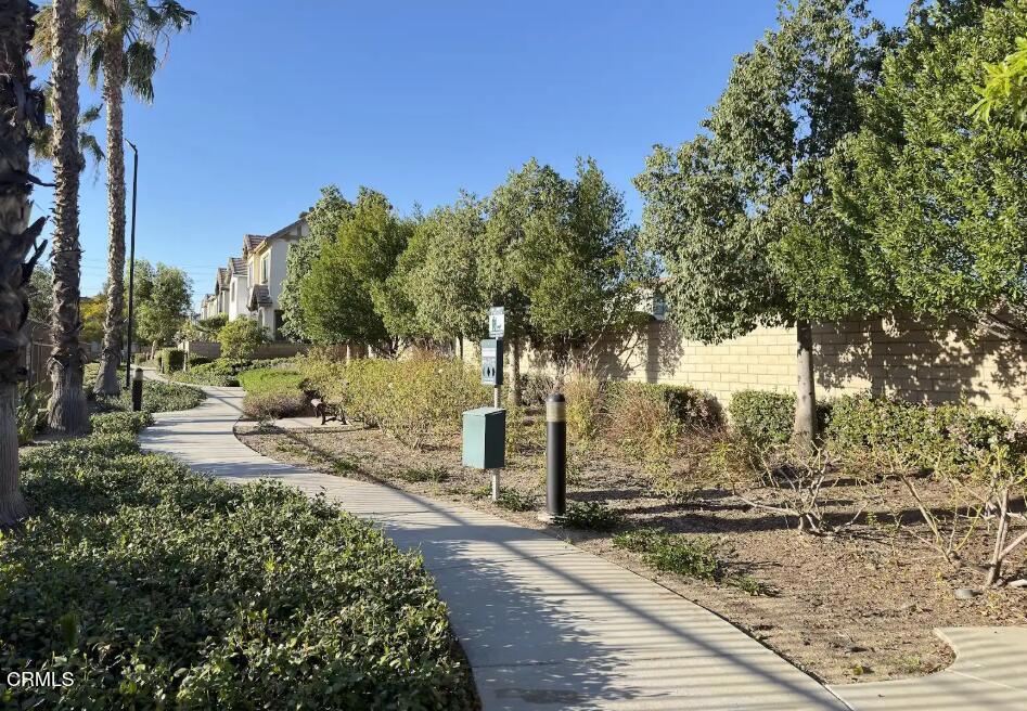 433 Merced Court Corona, CA 92878 - Photo 21 of 22 a view of a yard with trees