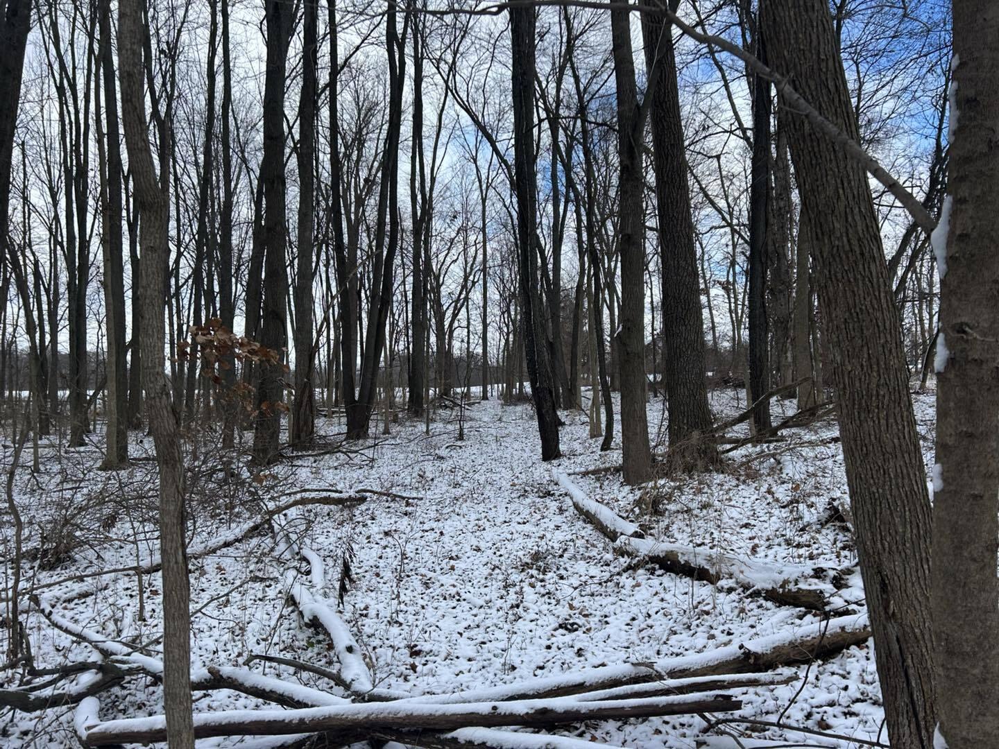 V/l Homer Road Litchfield, MI 49252 - Photo 4 of 21 m992