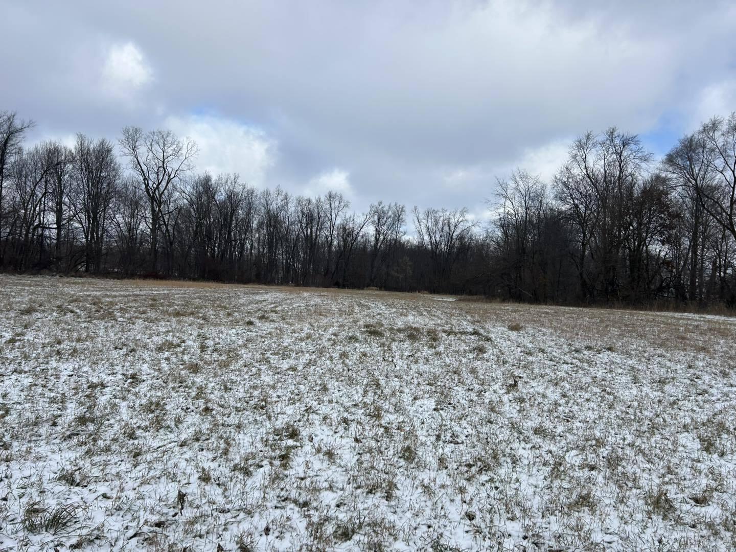 V/l Homer Road Litchfield, MI 49252 - Photo 5 of 21 m997