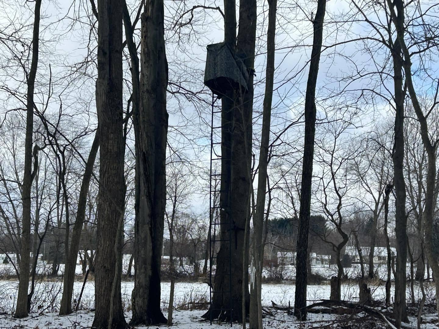 V/l Homer Road Litchfield, MI 49252 - Photo 7 of 21 m998