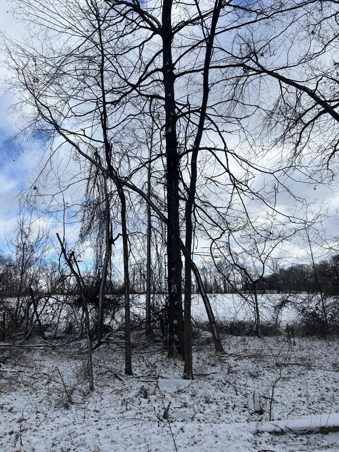 V/l Homer Road Litchfield, MI 49252 - Photo 8 of 21 9912