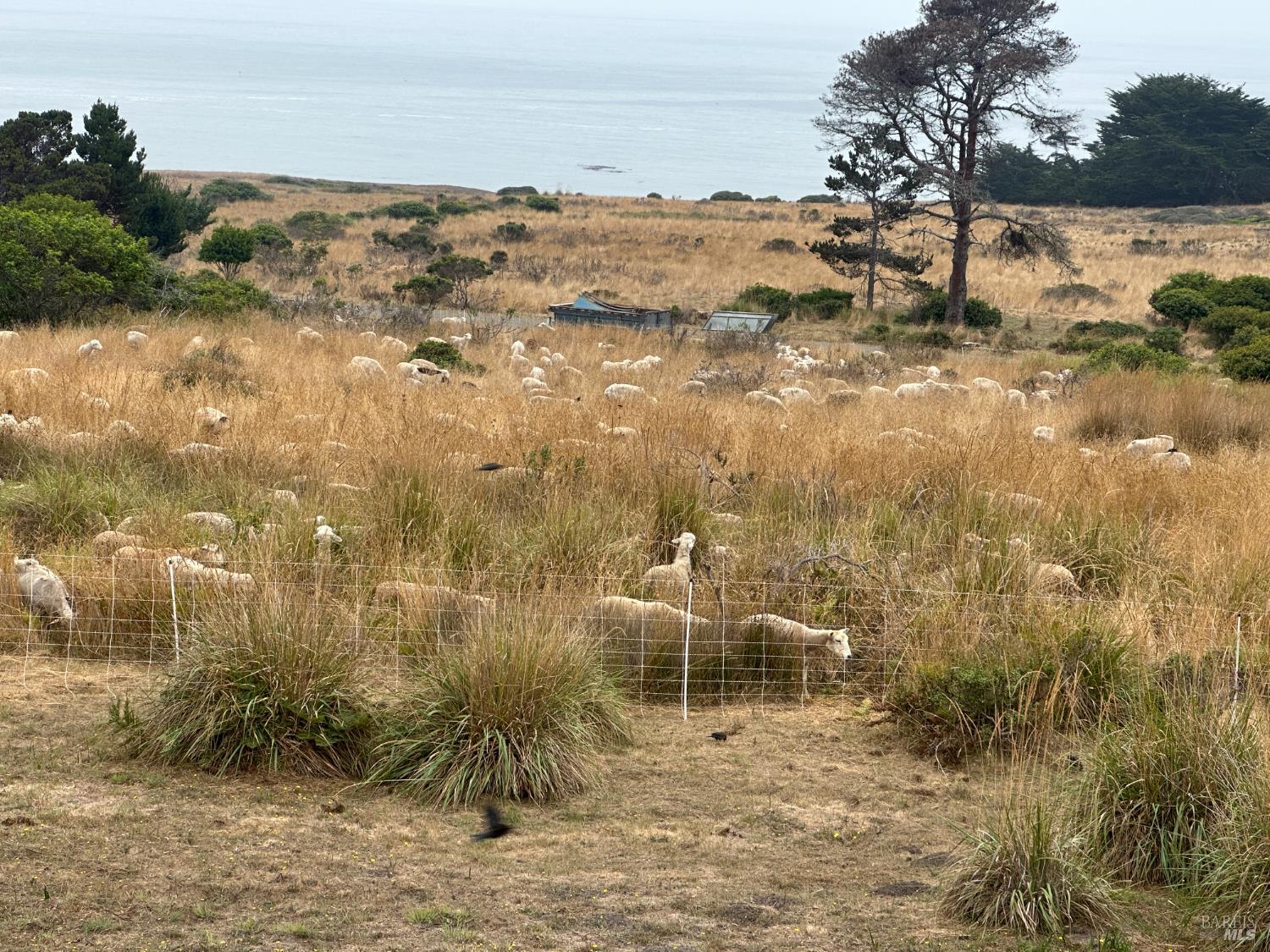35411 Fly Cloud Road The Sea Ranch, CA 95497 - Photo 12 of 21 a view of a lake