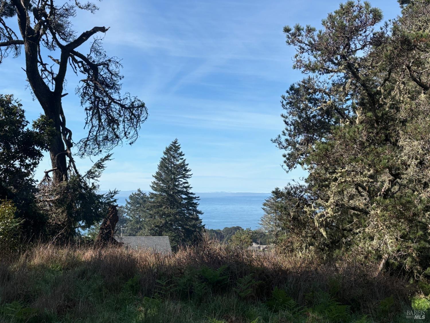 35411 Fly Cloud Road The Sea Ranch, CA 95497 - Photo 2 of 21 a view of lake with green space
