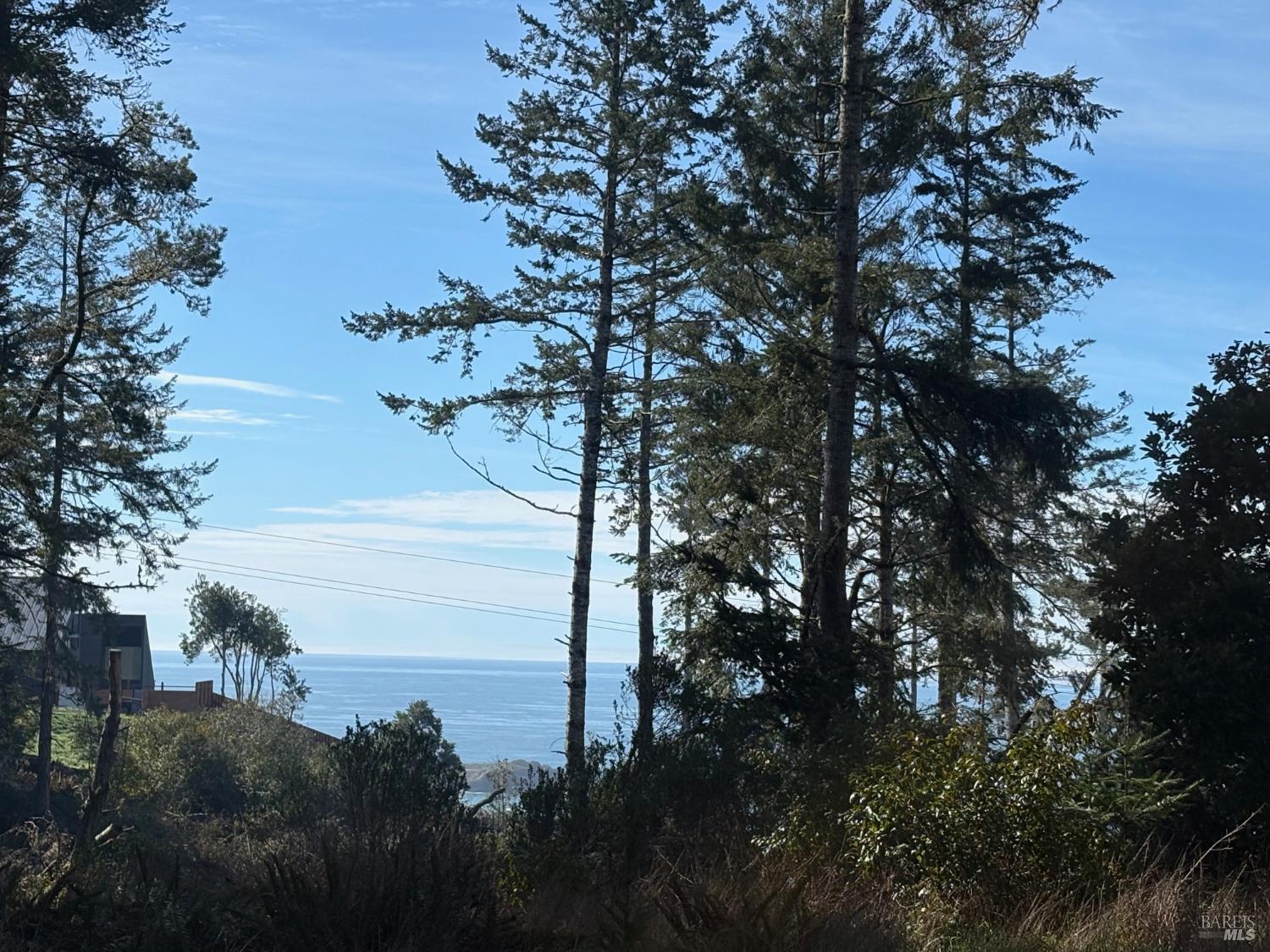 35411 Fly Cloud Road The Sea Ranch, CA 95497 - Photo 3 of 21 a backyard of a house with lots of green space