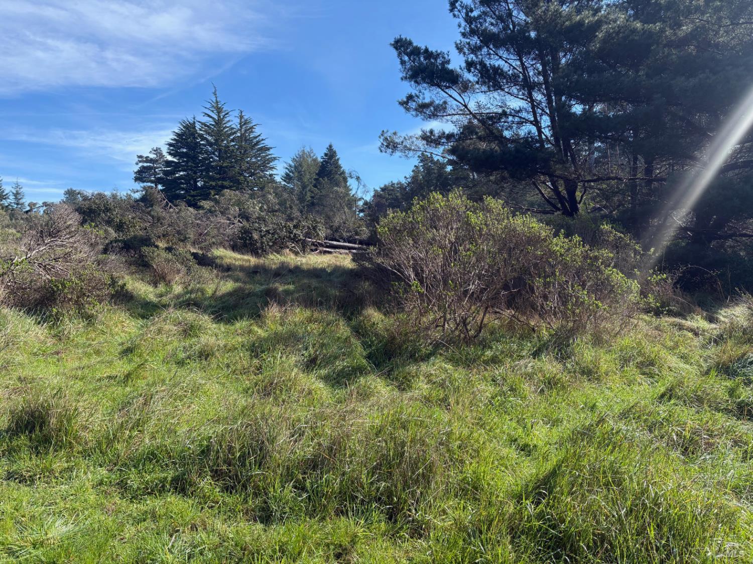 35411 Fly Cloud Road The Sea Ranch, CA 95497 - Photo 5 of 21 a view of a lush green space