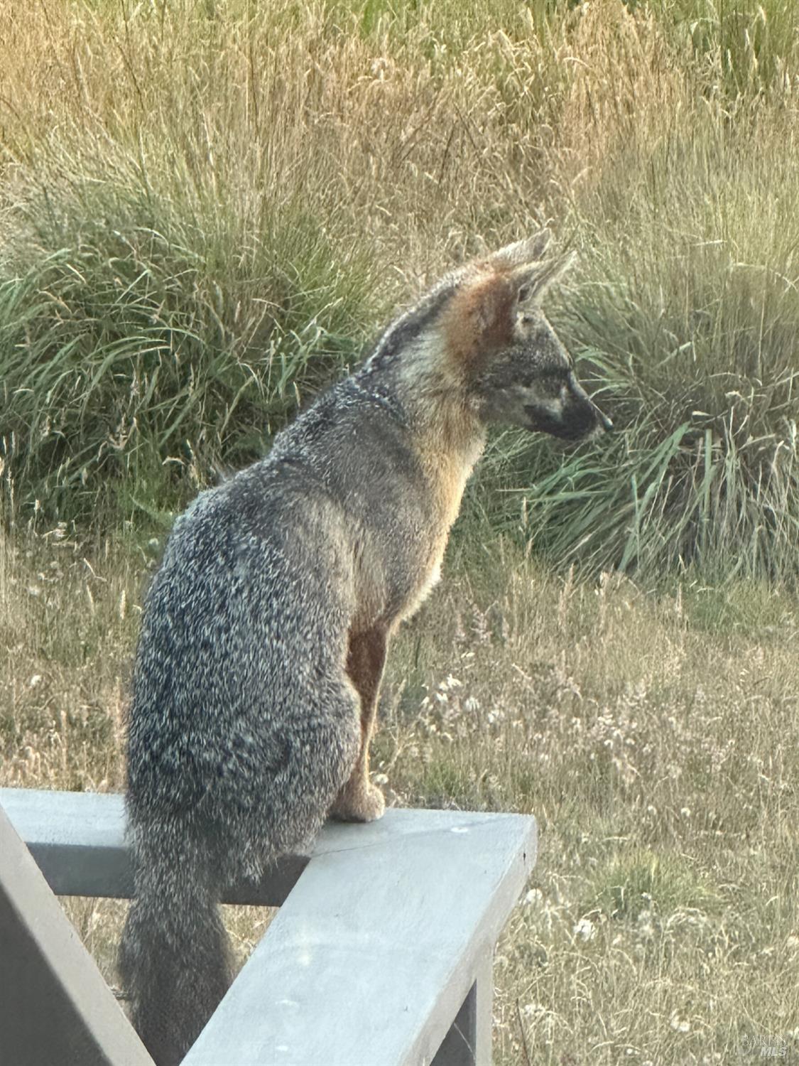 35411 Fly Cloud Road The Sea Ranch, CA 95497 - Photo 10 of 21 a view of wooden floor