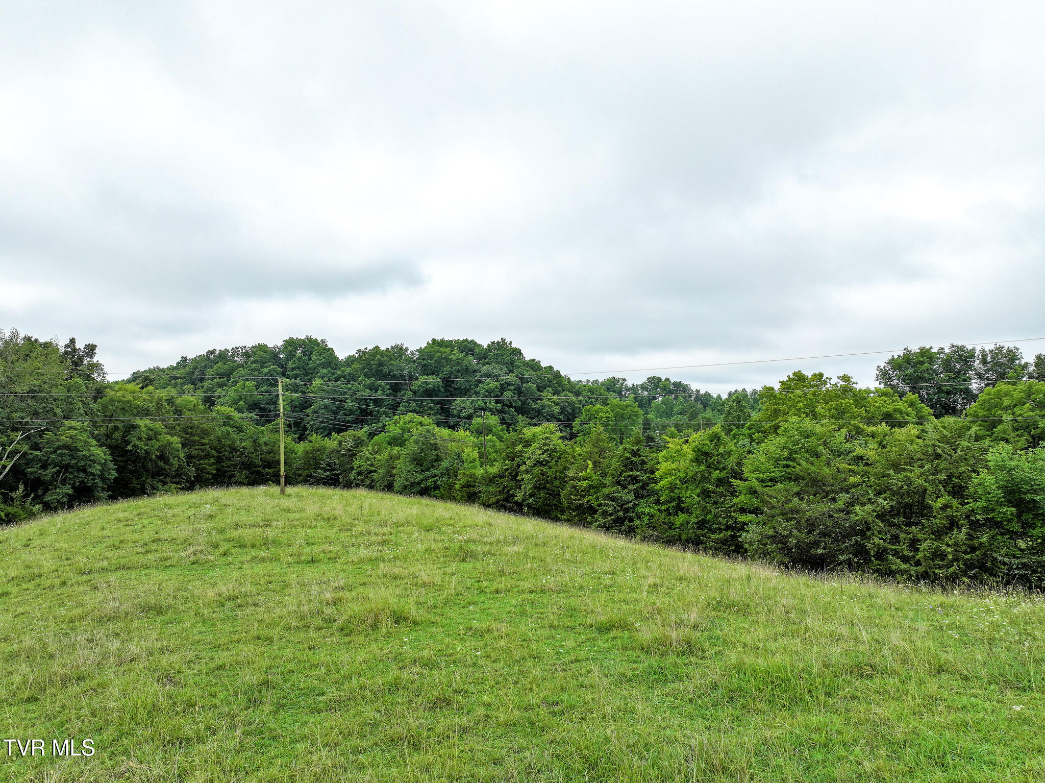 19-ac Fodderstack Mountain Loop Greeneville, TN 37745 - Photo 12 of 19 12