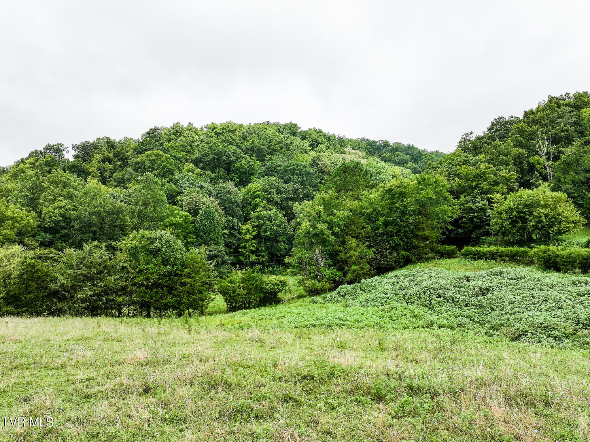 19-ac Fodderstack Mountain Loop Greeneville, TN 37745 - Photo 13 of 19 13