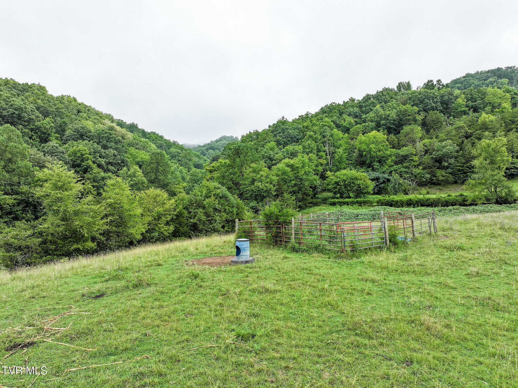 19-ac Fodderstack Mountain Loop Greeneville, TN 37745 - Photo 14 of 19 14