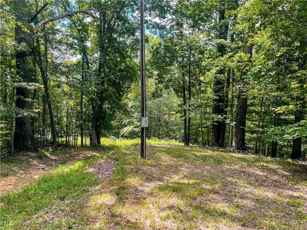 226 Banner Hill Road Spencer, WV 25276 - Photo 19 of 35