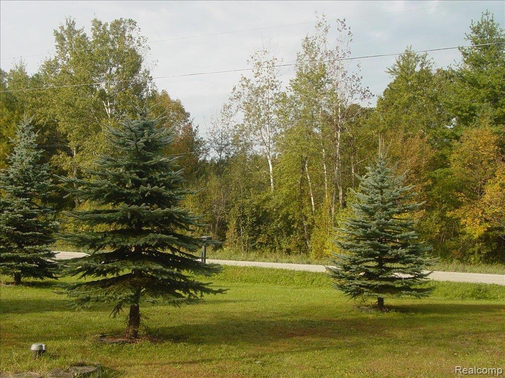 3568 Rabidue Road North Street, MI 48049 - Photo 6 of 7 DSC01620