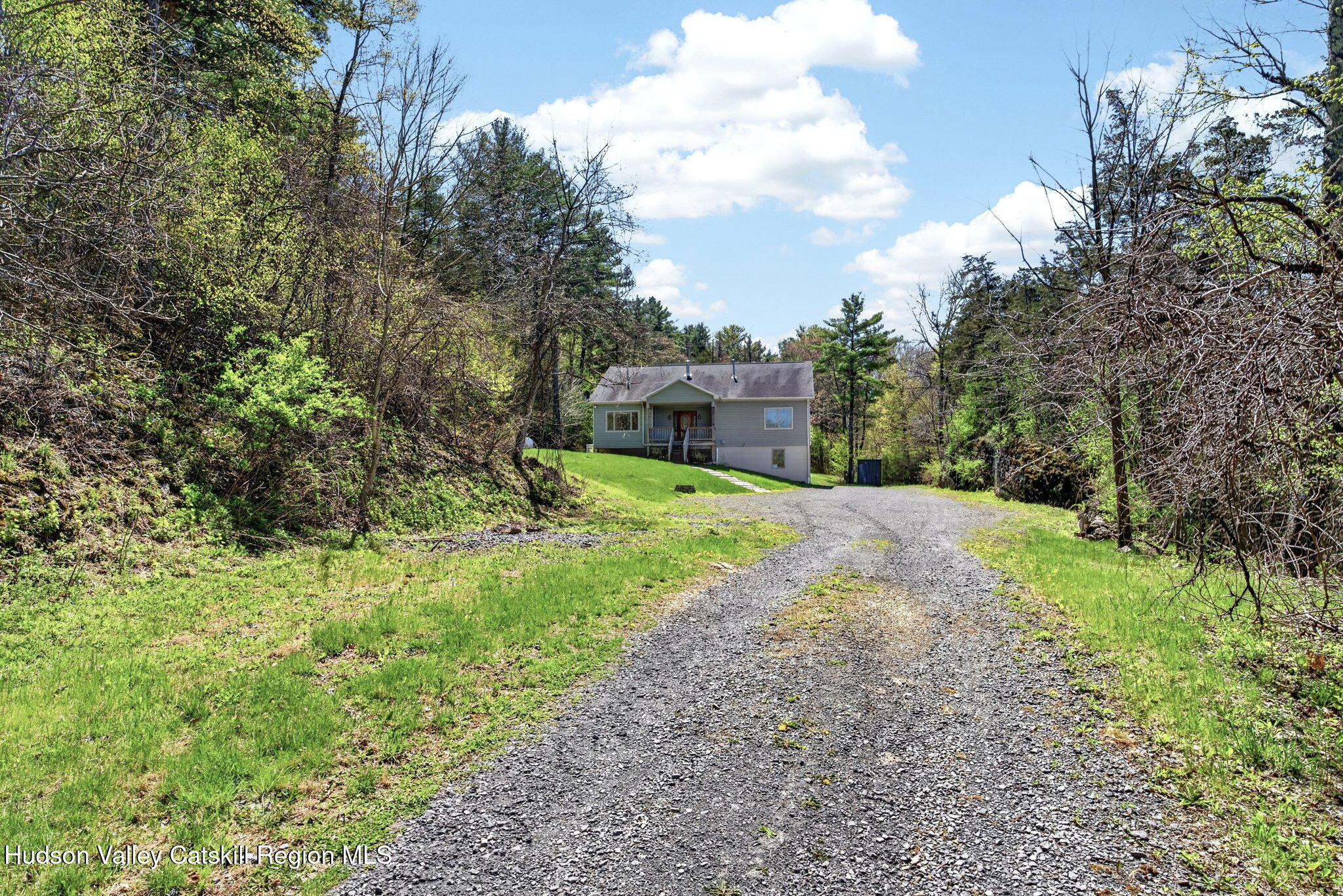 86 Paul Horn Road Catskill, NY 12414 - Photo 12 of 56 a view of a yard with an trees