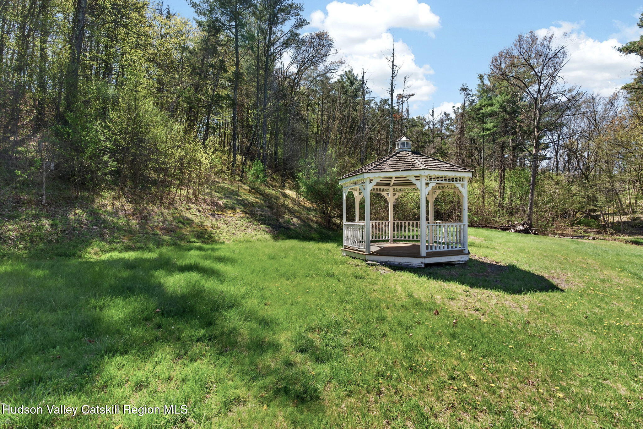 86 Paul Horn Road Catskill, NY 12414 - Photo 50 of 56 a view of house with backyard and trees