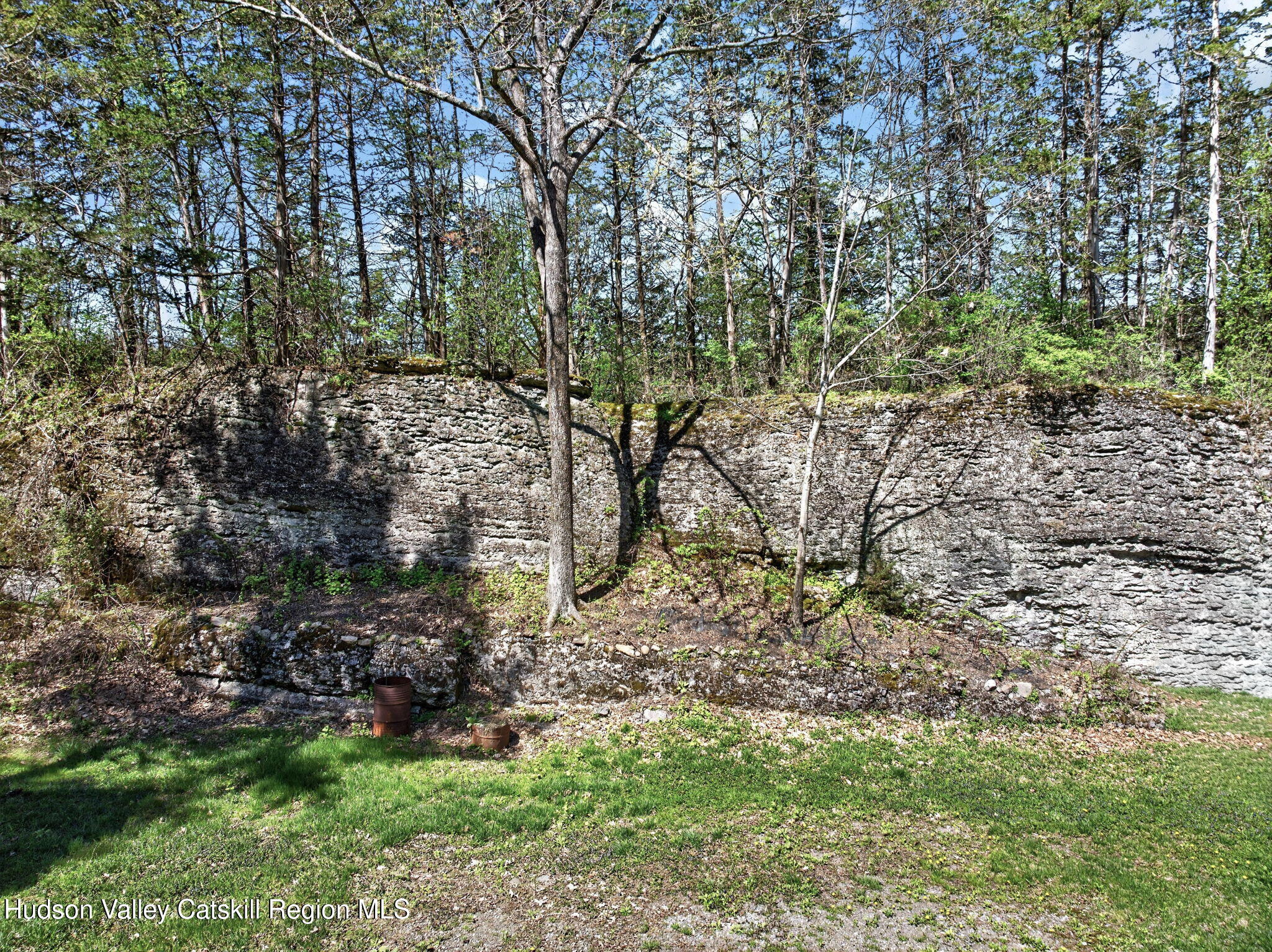 86 Paul Horn Road Catskill, NY 12414 - Photo 51 of 56 a backyard of a house with lots of green space