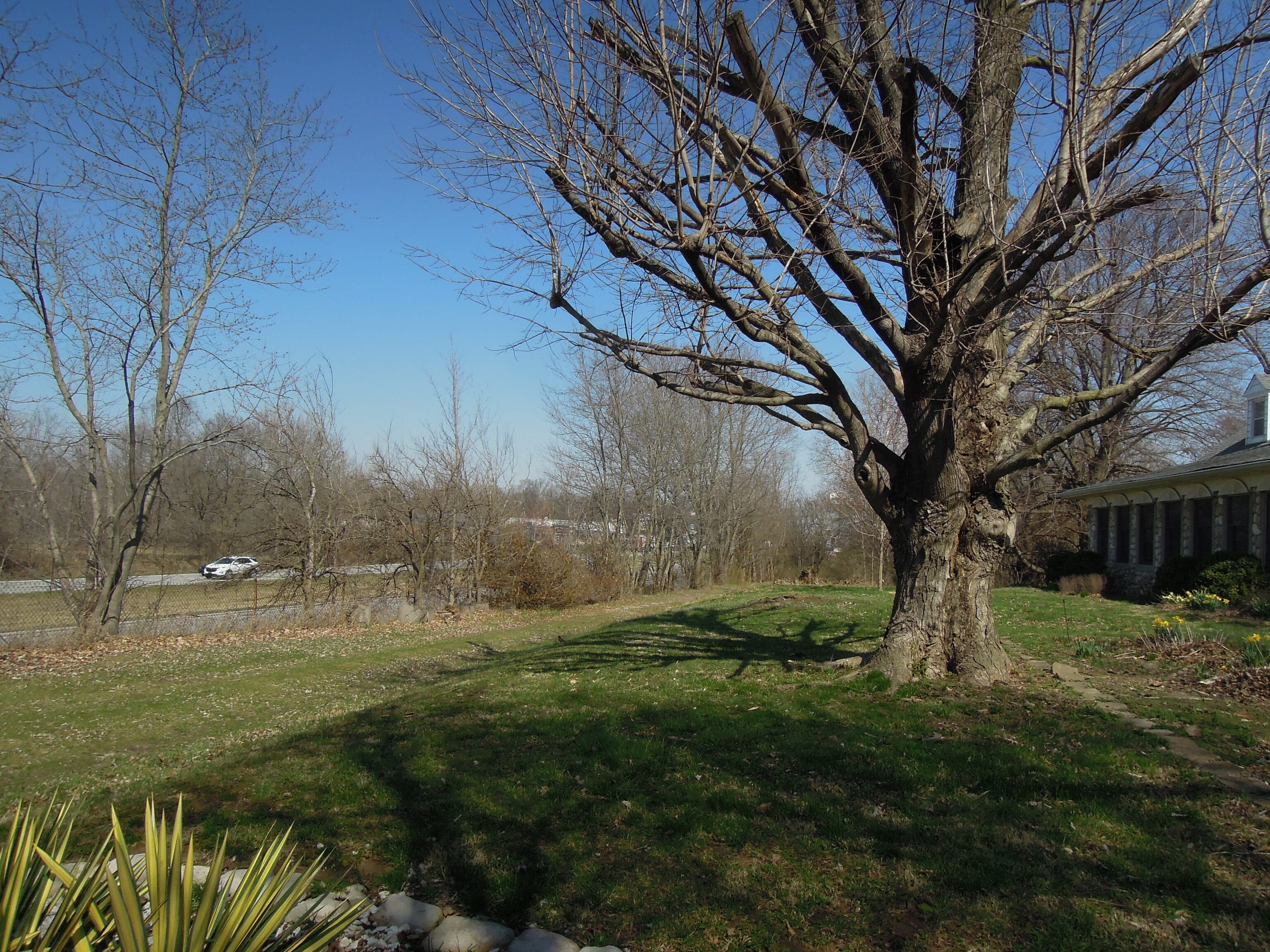 1 Fields Street Mooresville, IN 46158 - Photo 17 of 21