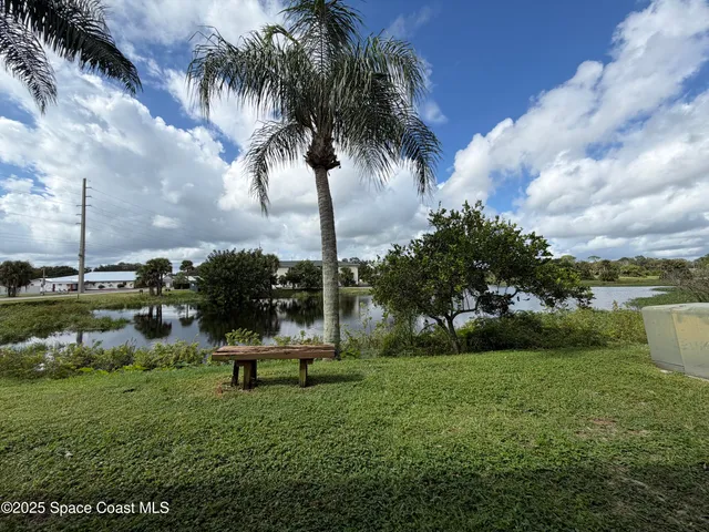 a garden with tall trees