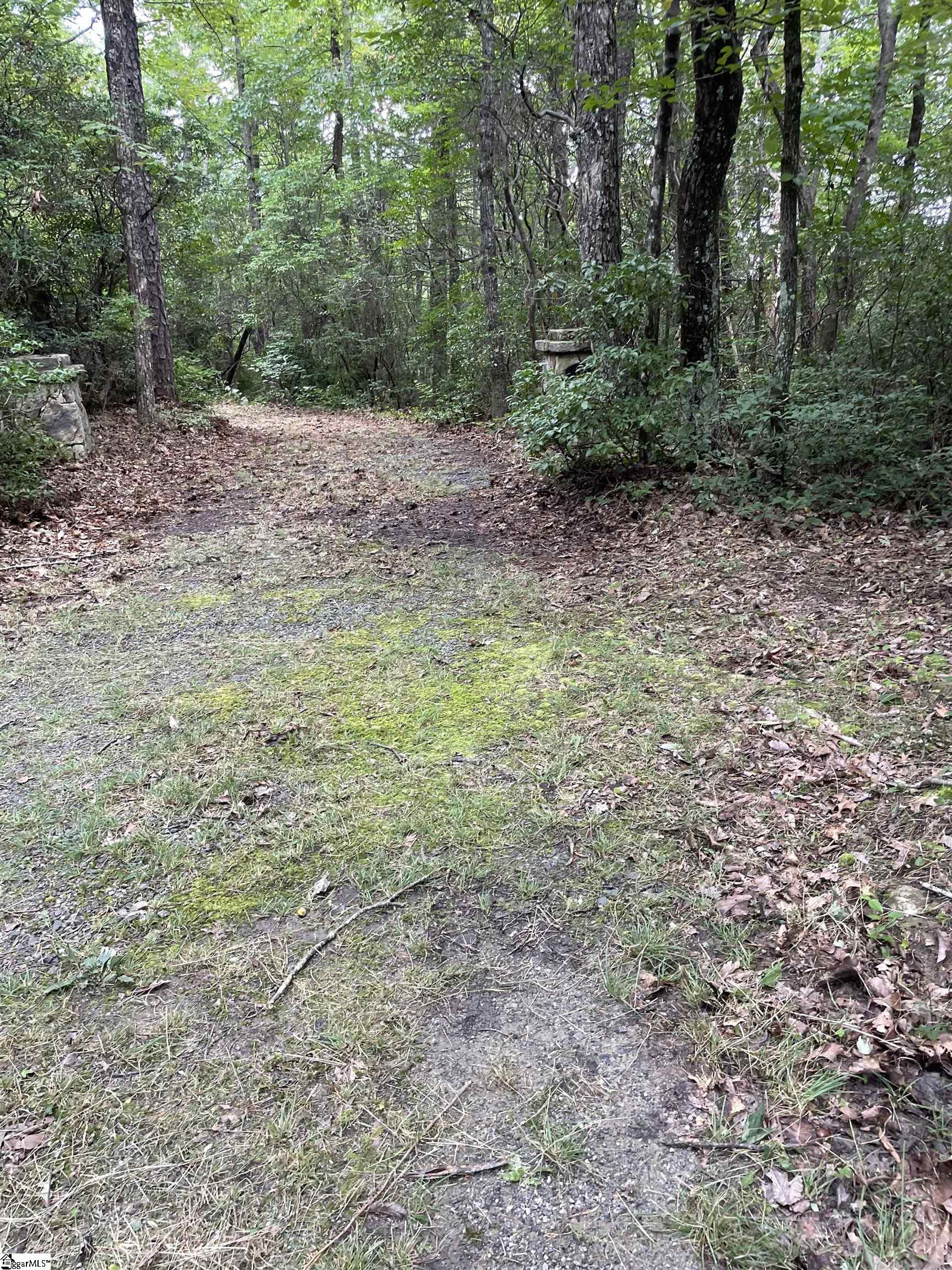 116 Caesar's Pointe Pointe, Unit POINTE Cleveland, SC 29635 - Photo 2 of 3