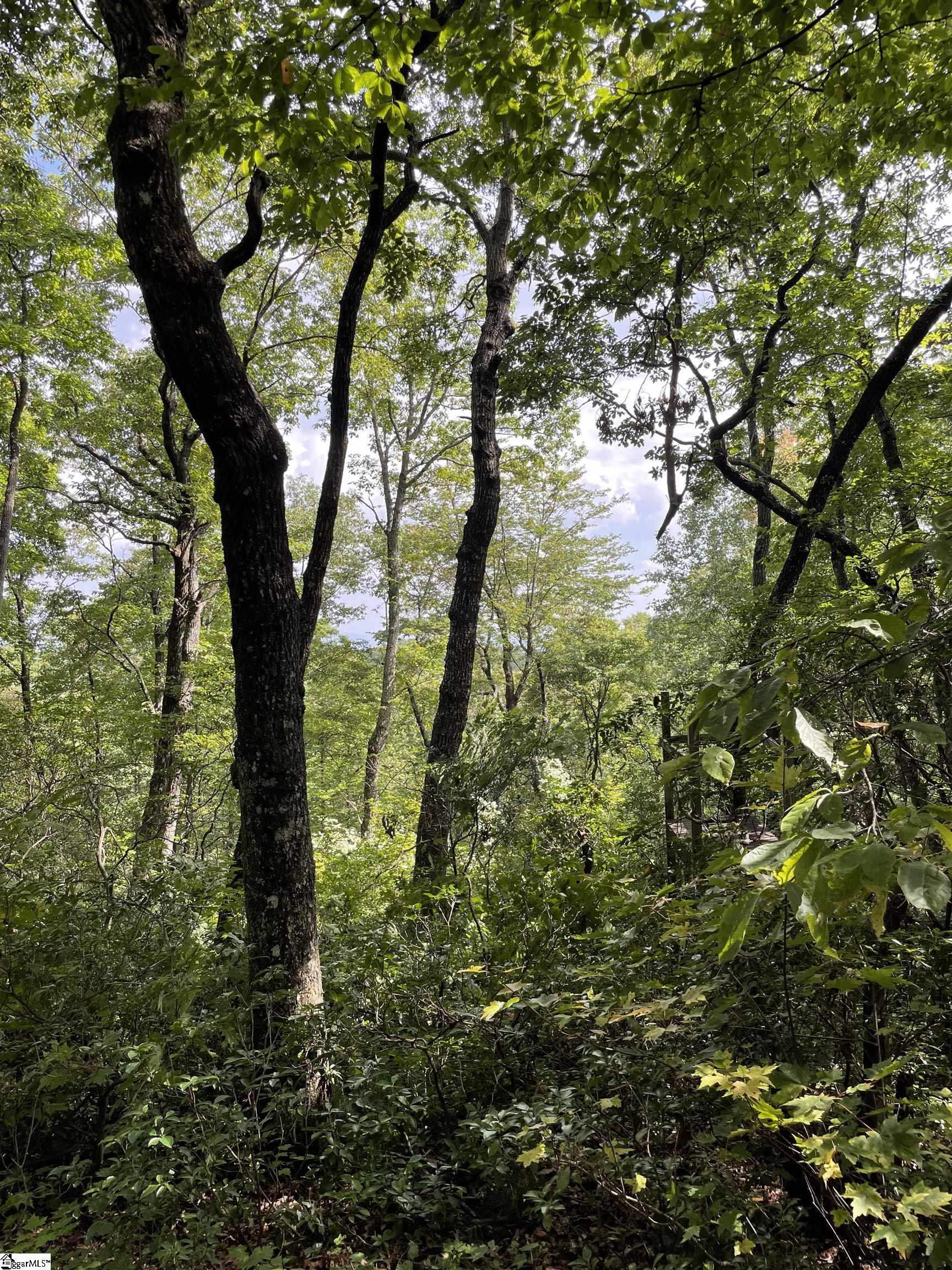 116 Caesar's Pointe Pointe, Unit POINTE Cleveland, SC 29635 - Photo 3 of 3