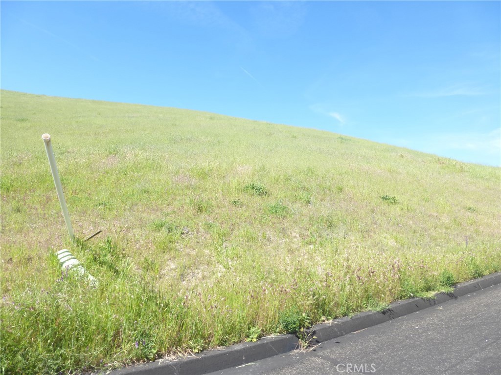 0 Douglas Road San Miguel, CA 93451 - Photo 11 of 42
