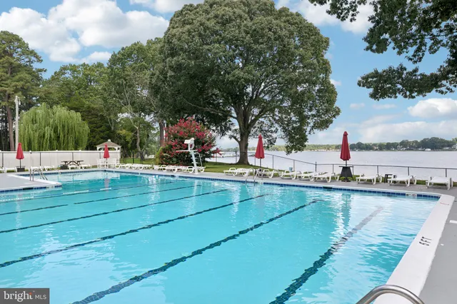a view of a swimming pool and lounge chairs