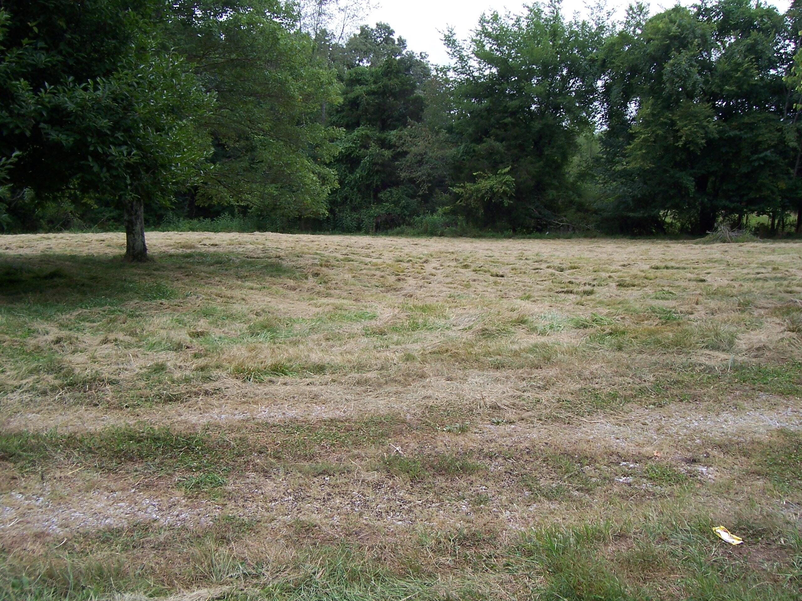 1875 Sportsman Lake Road Lebanon, KY 40033 - Photo 3 of 4 102_7777
