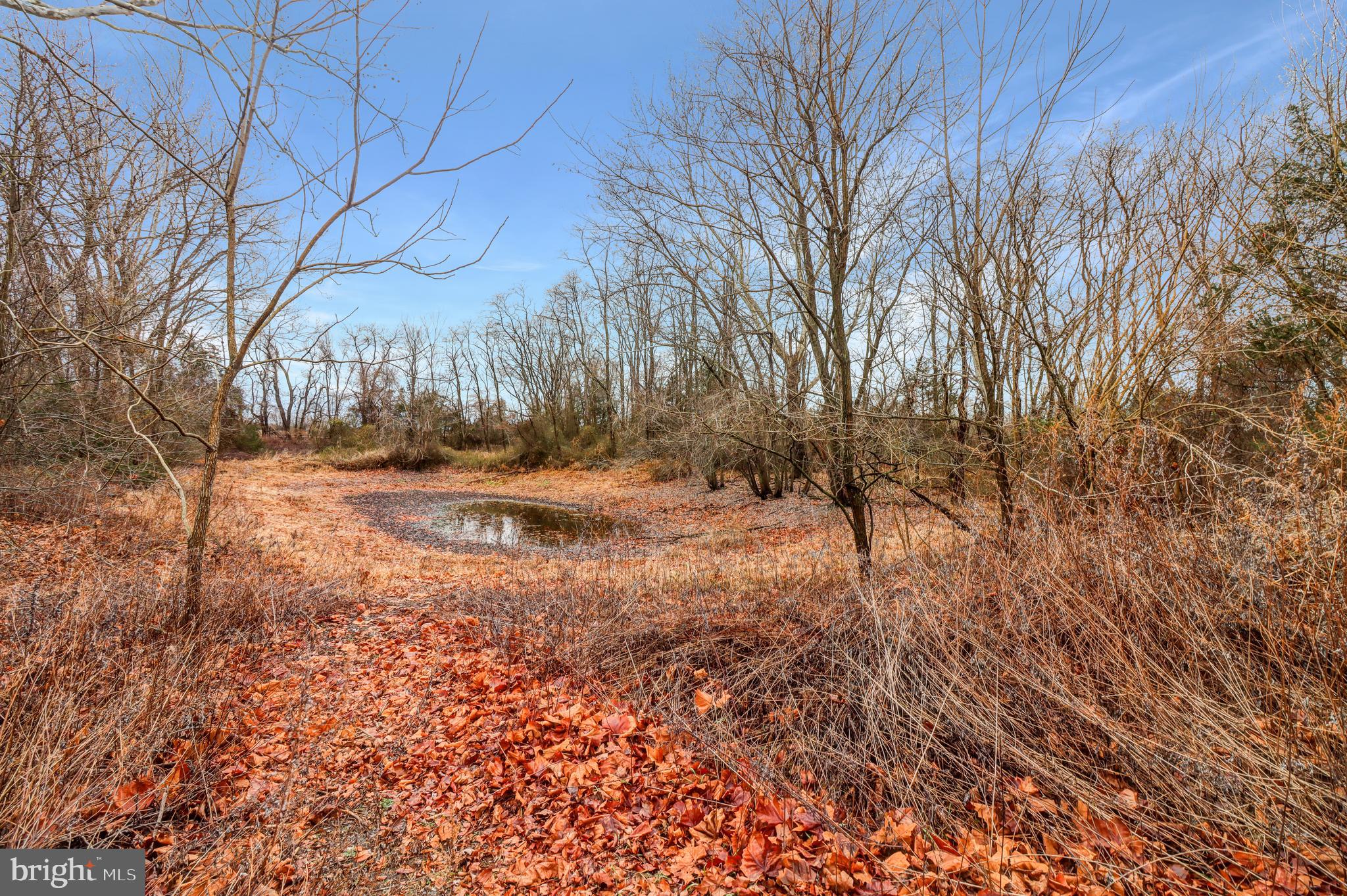 170-174 West Millstream Road Cream Ridge, NJ 08514 - Photo 13 of 109 Irrigation Pond
