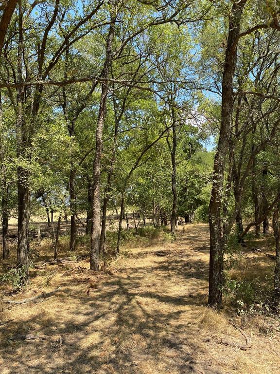 84 West Prairie Hill Mart, TX 76664 - Photo 11 of 35