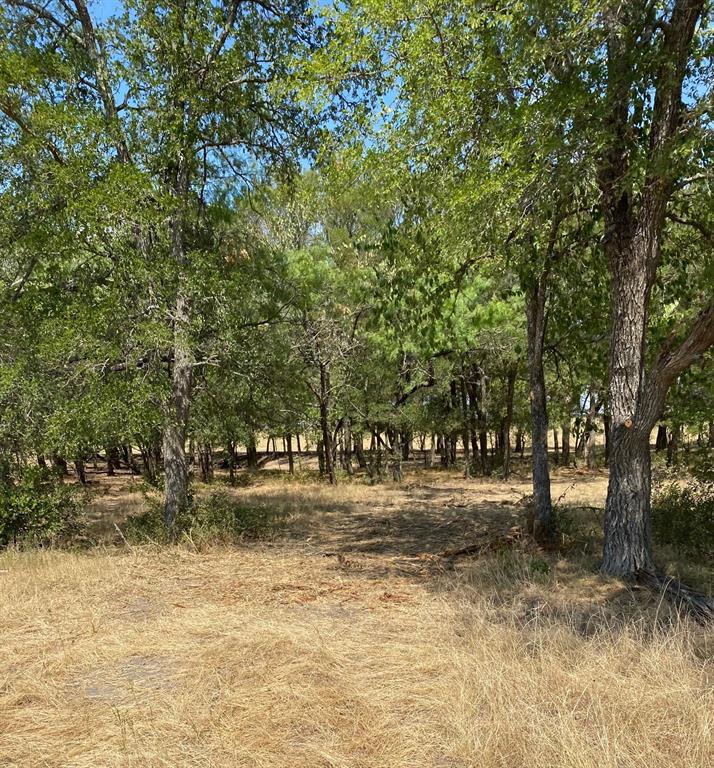 84 West Prairie Hill Mart, TX 76664 - Photo 12 of 35