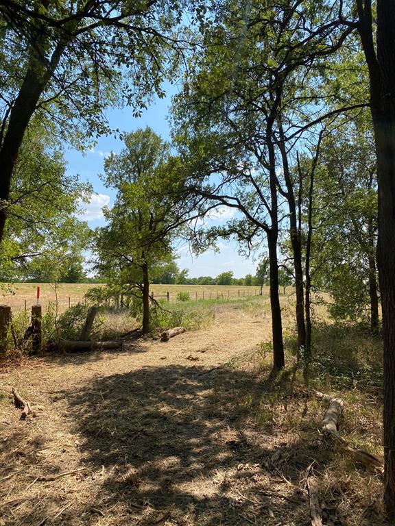 84 West Prairie Hill Mart, TX 76664 - Photo 15 of 35