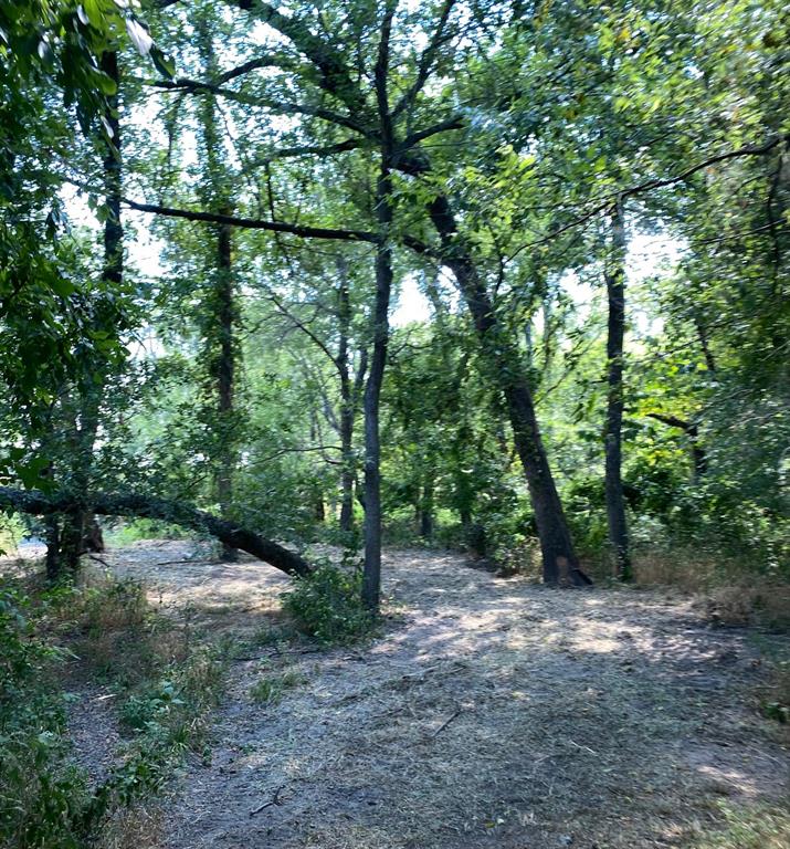 84 West Prairie Hill Mart, TX 76664 - Photo 16 of 35