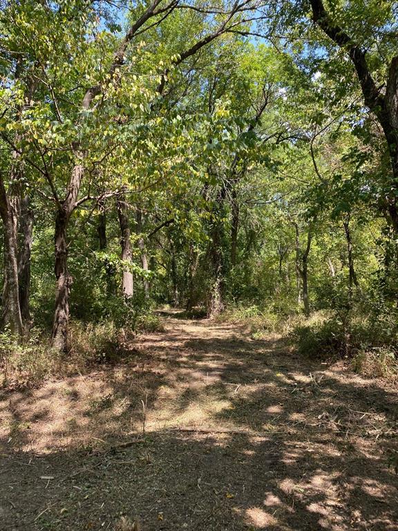 84 West Prairie Hill Mart, TX 76664 - Photo 19 of 35