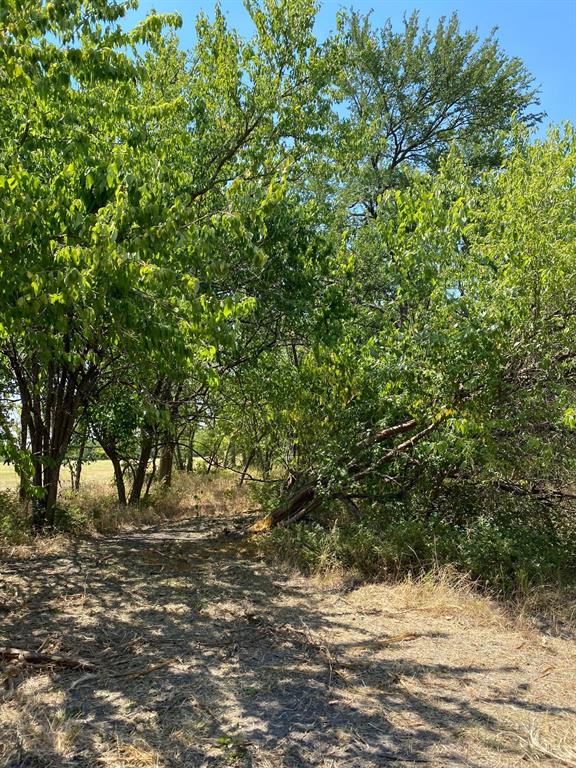 84 West Prairie Hill Mart, TX 76664 - Photo 20 of 35