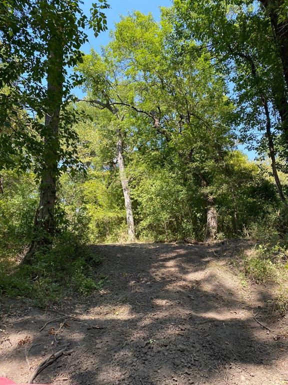 84 West Prairie Hill Mart, TX 76664 - Photo 21 of 35