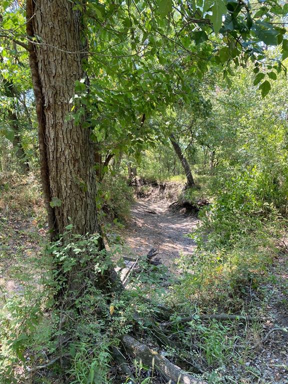 84 West Prairie Hill Mart, TX 76664 - Photo 22 of 35