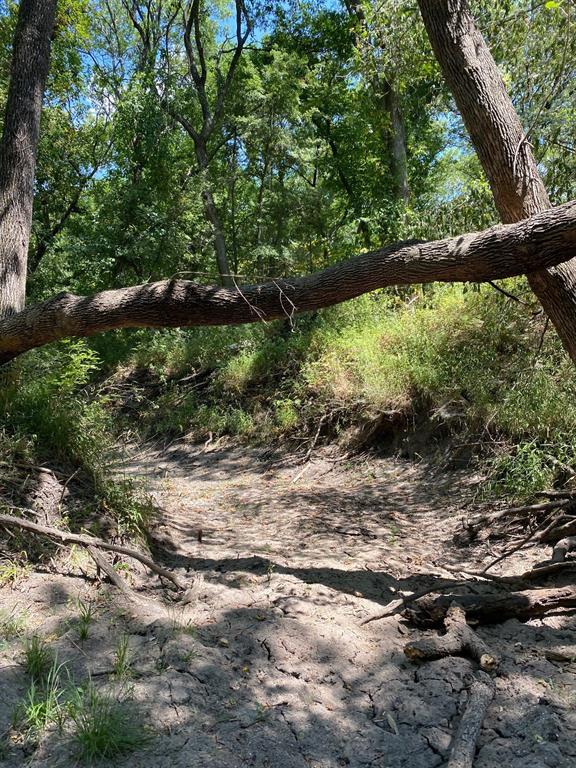 84 West Prairie Hill Mart, TX 76664 - Photo 23 of 35