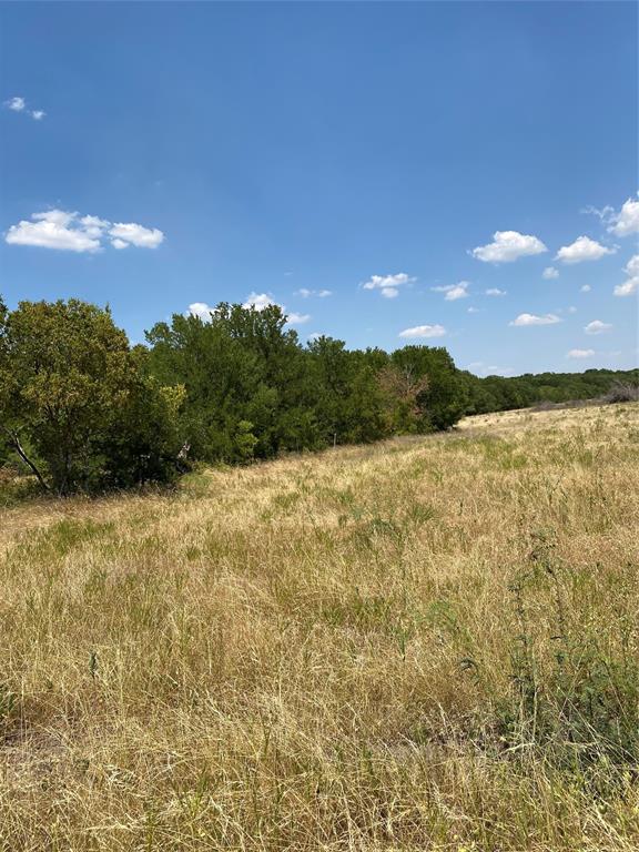 84 West Prairie Hill Mart, TX 76664 - Photo 31 of 35