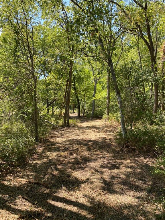 84 West Prairie Hill Mart, TX 76664 - Photo 33 of 35