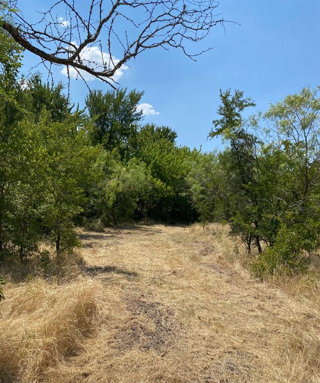 84 West Prairie Hill Mart, TX 76664 - Photo 5 of 35