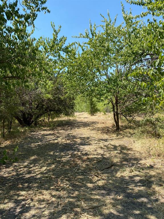 84 West Prairie Hill Mart, TX 76664 - Photo 7 of 35